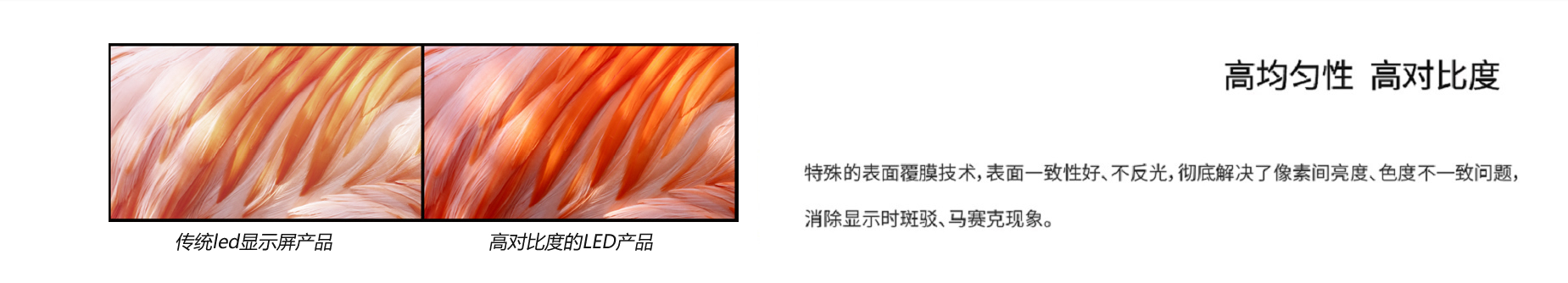 1685101651846534.jpg 1.jpg